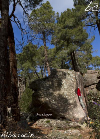 Jojo in "Grasshopper"